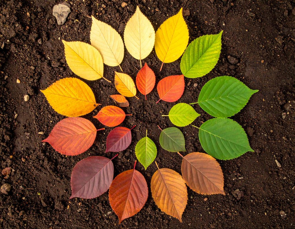 Hypnosis Myths: What Quantum Healing Really Feels Like