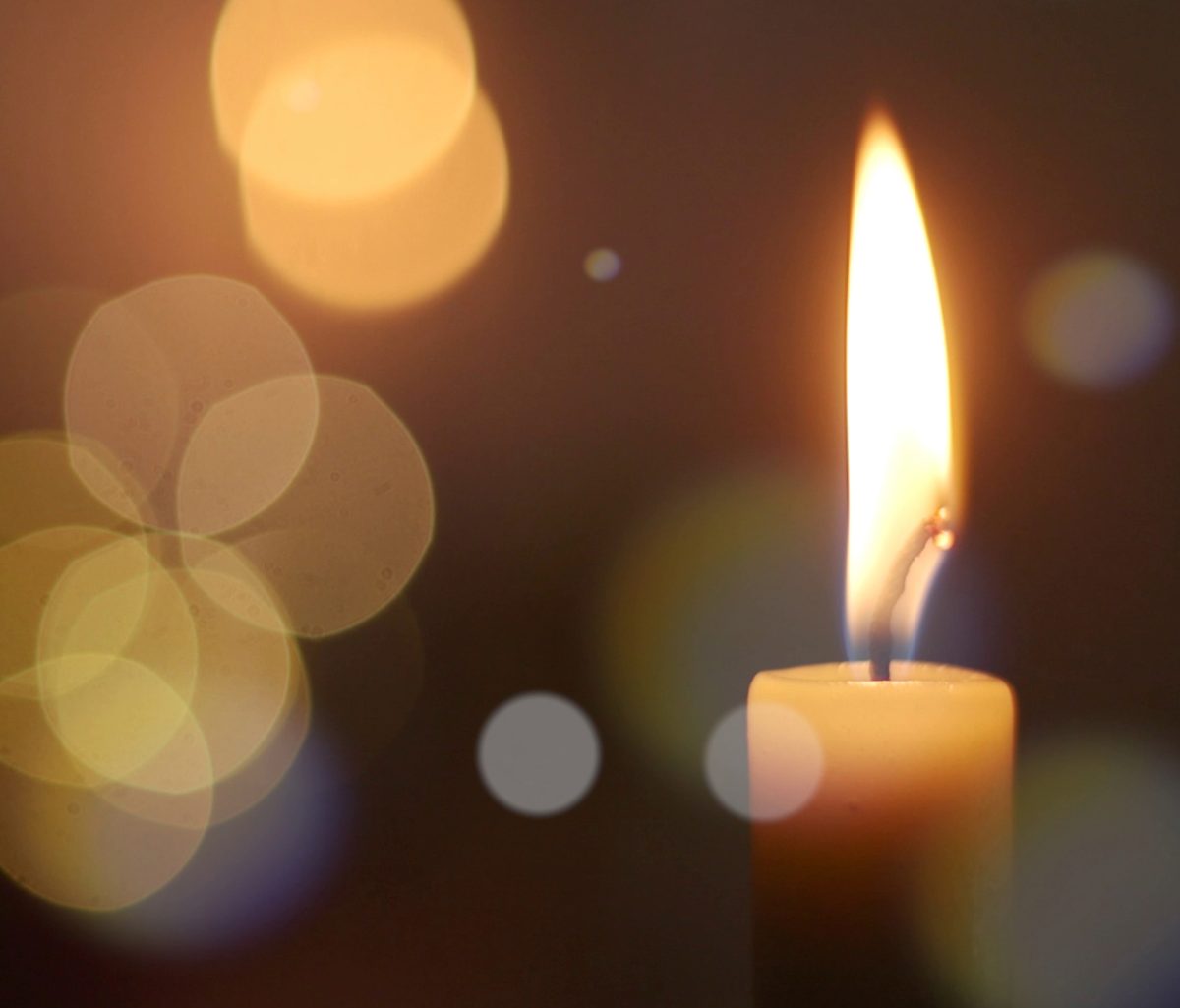 Embracing Shadow and Light: Winter Reflections on Growth